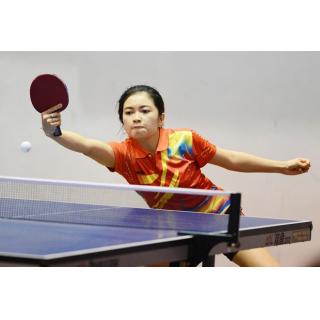 Kỹ thuật đánh bóng căn bản trong bóng bàn