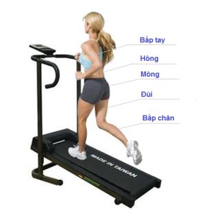 Tìm hiểu về máy chạy bộ cơ