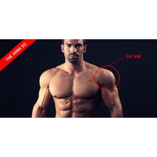 Tham khảo các bài tập cho nhóm cơ vai 