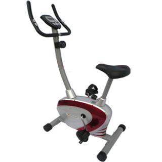 Xe đạp tập thể thao Royal 549C