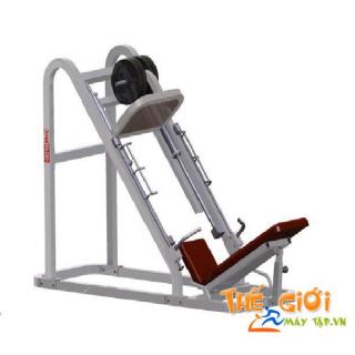 Ghế tập đùi nằm 606501