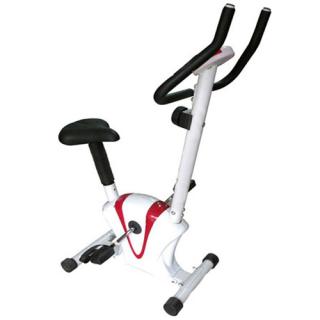 Xe đạp tập Life 608