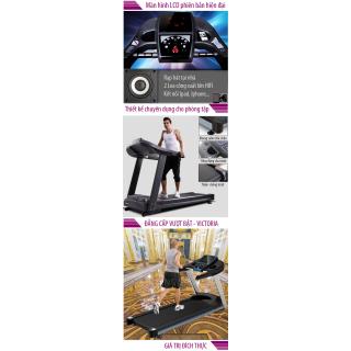 Máy chạy bộ Victoria USA 2013