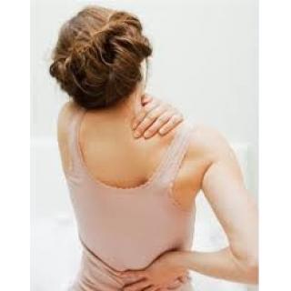 Nệm massage Sunbeam Therapeutics