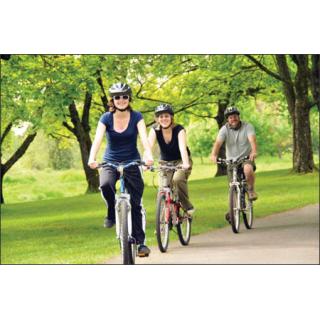 Xe đạp giành cho phòng tập SP 520