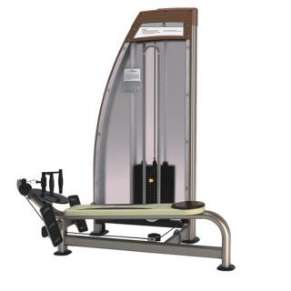 Máy kéo tập cơ taychân 9021