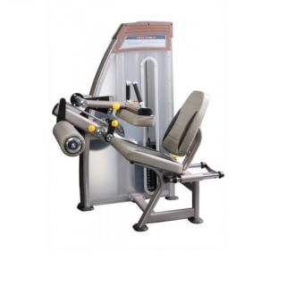 Máy tập cơ đùi sau 9027