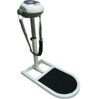 Giá bán : 2.250.000 đ