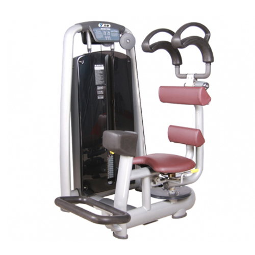 Rotary Torso -Tập bụng