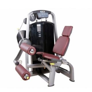 Seated Leg Curl - Máy móc đùi sau