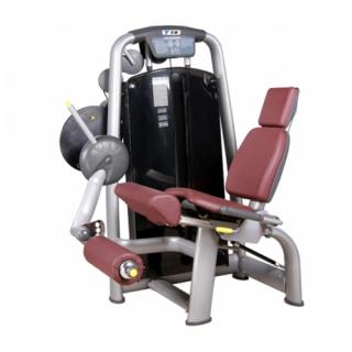 Seated Leg Extension - Đá đùi trước