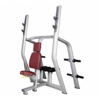 Vertical Bench - Ghế ngồi đẩy tạ trên