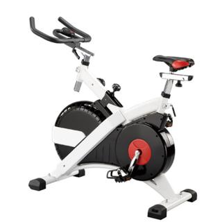 Xe đạp tập RD250