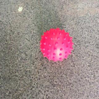 Bóng Gai Tập Phục Hồi Cơ Tay (massage)