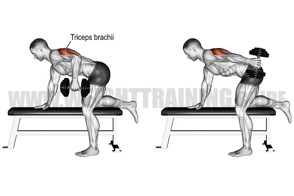 bai-tap-Triceps-kickback