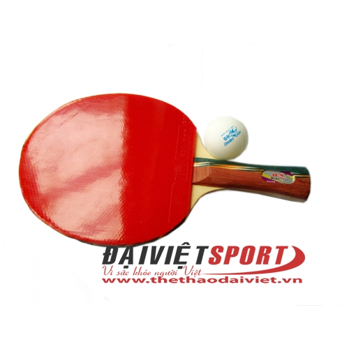 bảo quản vợt bóng bàn