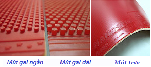 Các loại mút vợt bóng bàn