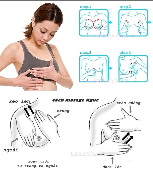 cách massage ngực cho vòng 1 căng tròn