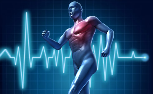 cách tập cardio đúng cách