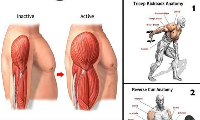Co-tam-dau-la-gi-cach-tap-hieu-qua-đon-gian
