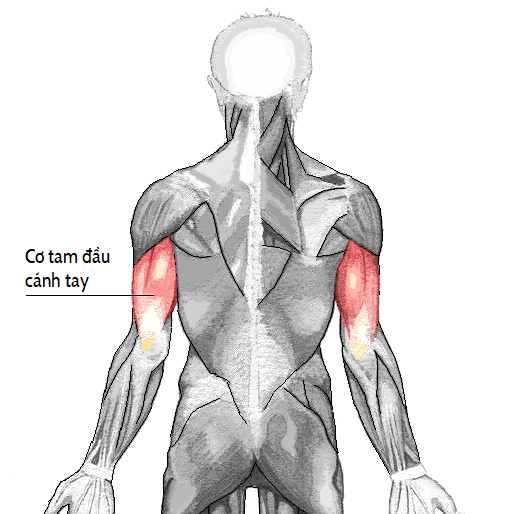 Co-tam-dau-la-gi-cach-tap-hieu-qua-đon-gian-1