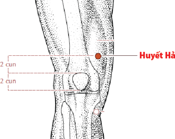 dieu-tri-khop-goi-bang-cach-xoa-bop-hay-bam-huyet-o-dau-2
