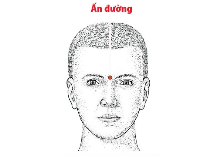 Huyet-tren-khuon-mat-o-nhung-vi-tri-nao-5