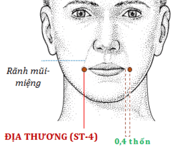 Huyet-tren-khuon-mat-o-nhung-vi-tri-nao-9