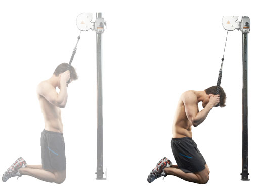 tập cơ bụng mỗi ngày