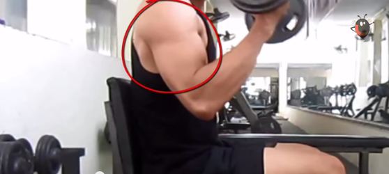 bài tập tay ngực tại nhà với tạ đôi