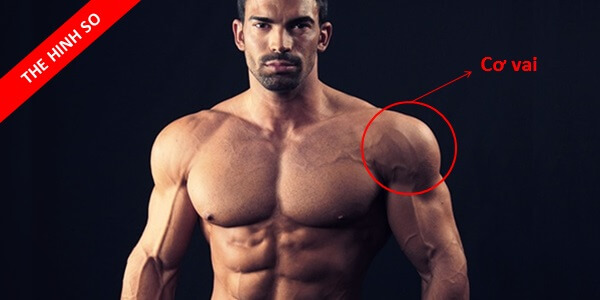 Tham-khao-cac-bai-tap-cho-nhom-co-vai