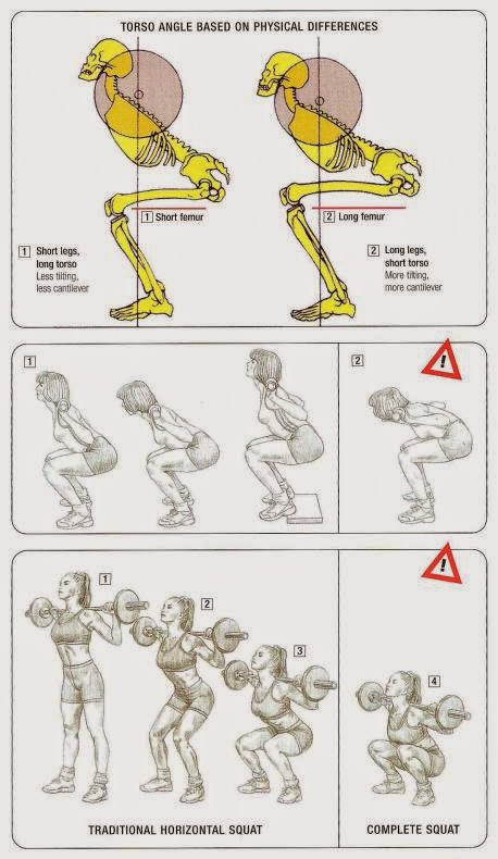 tư thể đúng trong tập thể hình
