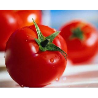 Thực đơn với cà chua giúp giảm cân nhanh chóng