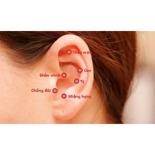 Xoa bóp và bấm huyệt ở vành tai có tác dụng gì 